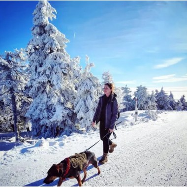 БОТИНКИ HAIX COMBAT GTX coyote