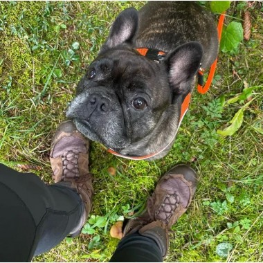 БОТИНКИ HAIX BLACK EAGLE ATHLETIC 2.0 N GTX MID brown