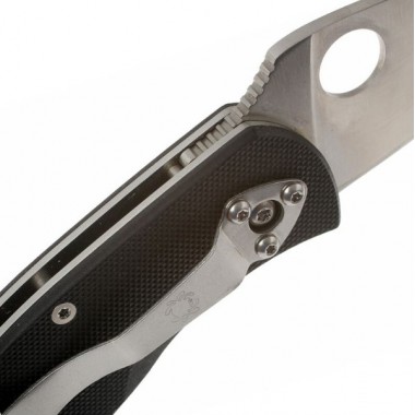 Нож складной SPYDERCO Ambitious G10 Black